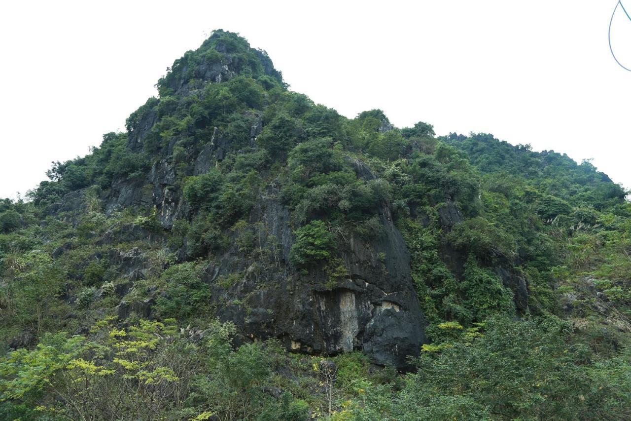 Gold Plus Hotel Phong Nha Exterior foto