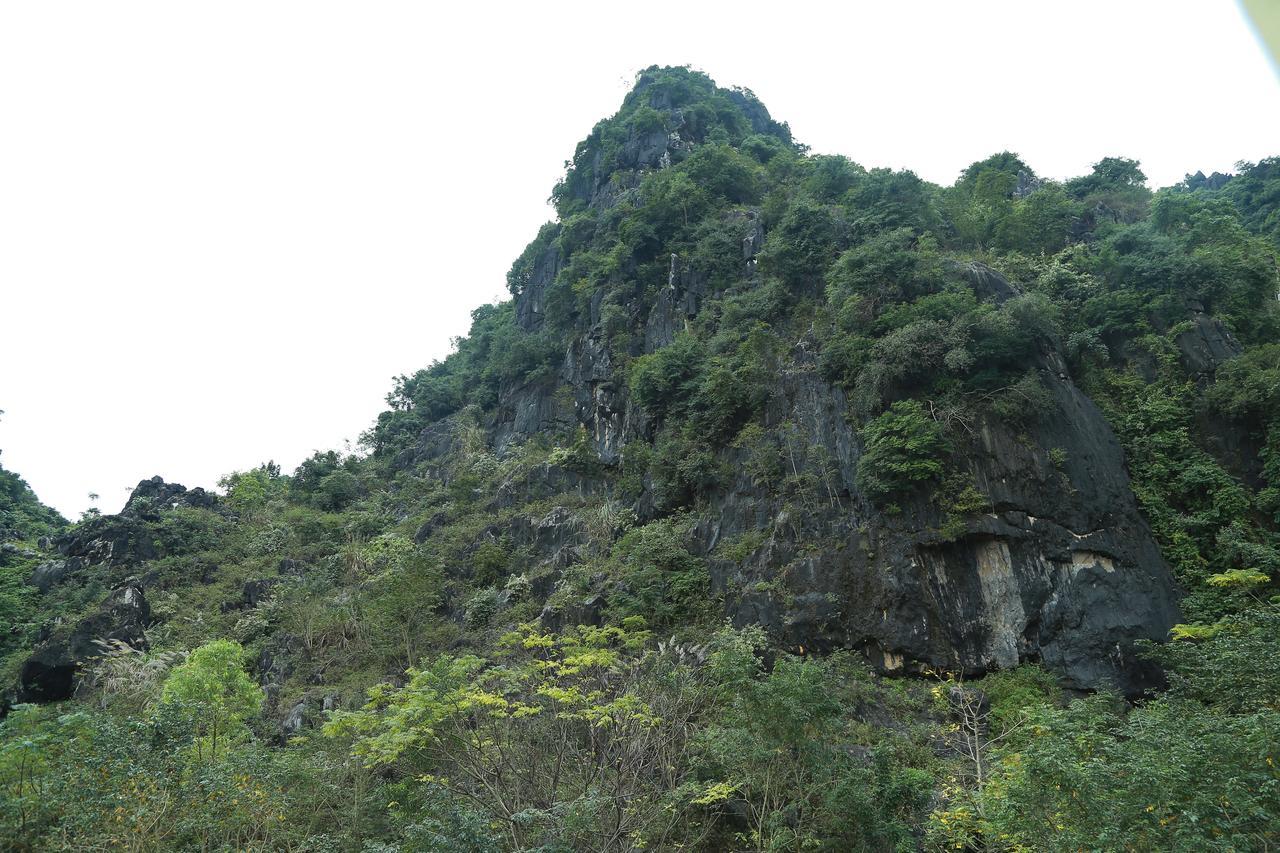 Gold Plus Hotel Phong Nha Exterior foto